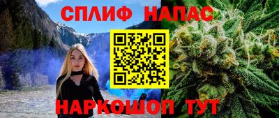 сатива Гусиноозёрск