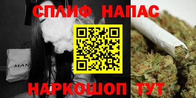 сатива Гусиноозёрск